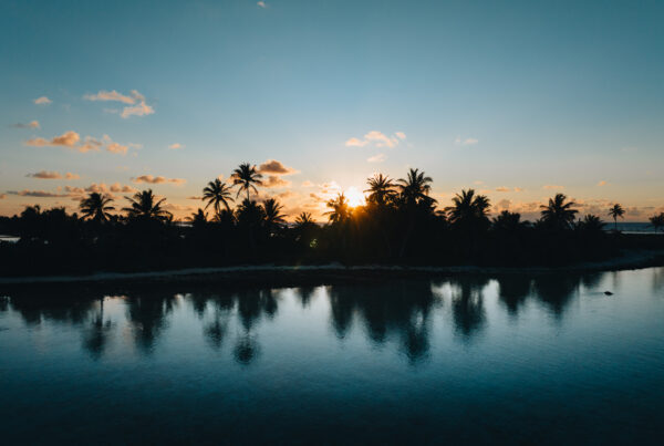 French Polynesia: Sunset Palms // LANDSCAPE PHOTO